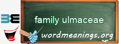 WordMeaning blackboard for family ulmaceae
